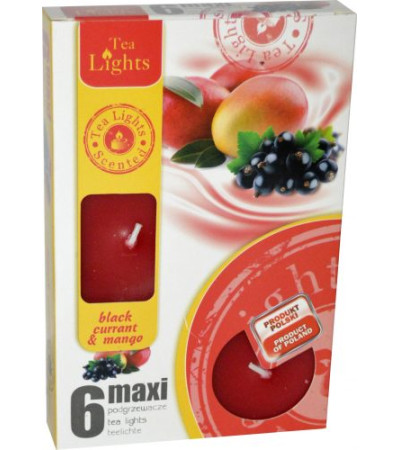 Sviečka čajová 6 kusová MAXI black currant & mango Sviečka čajová 6 kusová MAXI black currant & mango